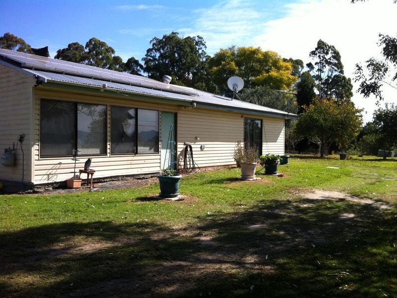 Cedar Party NSW 2429