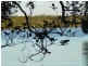 Johns River NSW 2443