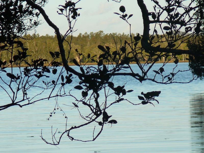 Johns River NSW 2443