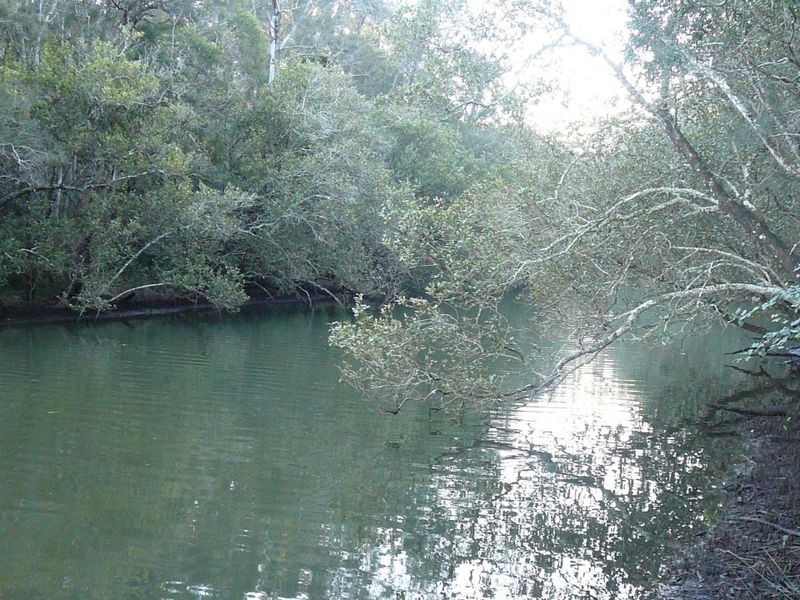 Johns River NSW 2443