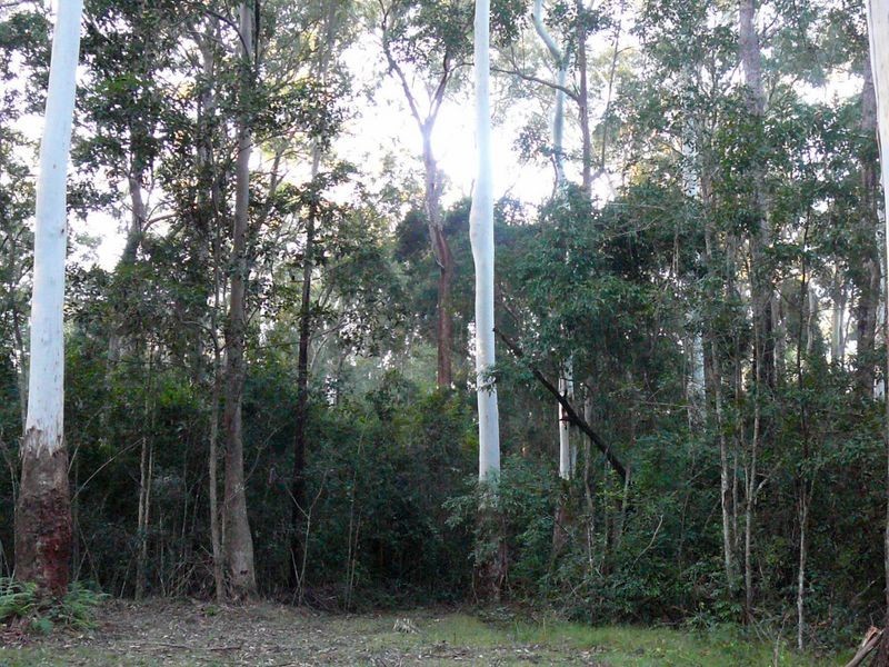 Johns River NSW 2443