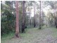 Johns River NSW 2443