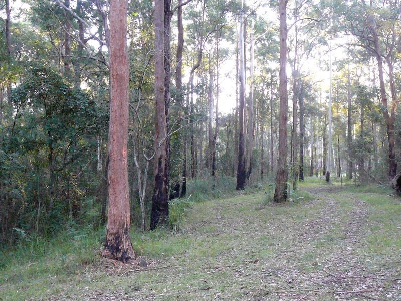 Johns River NSW 2443