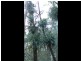 Johns River NSW 2443