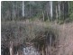 Johns River NSW 2443