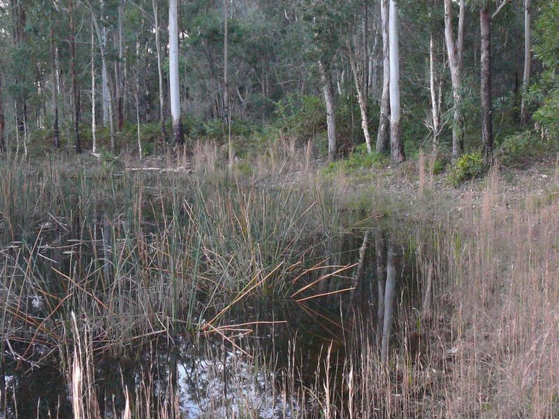 Johns River NSW 2443
