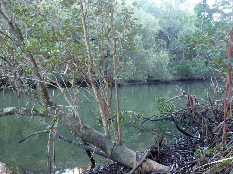 Johns River NSW 2443