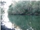 Johns River NSW 2443