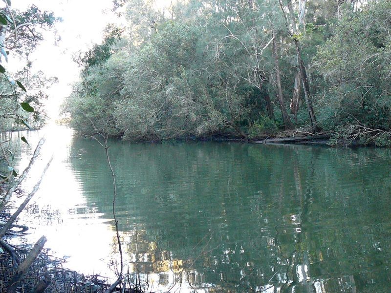 Johns River NSW 2443