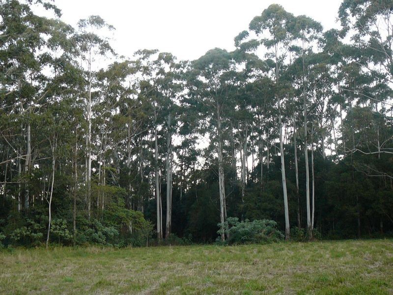 Johns River NSW 2443