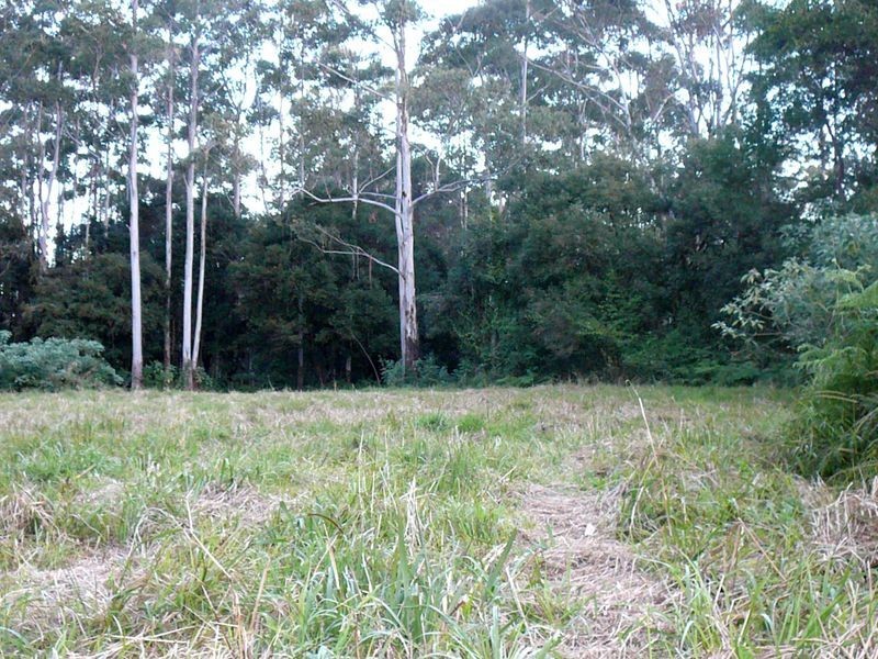 Johns River NSW 2443
