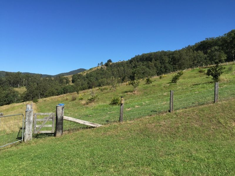 Wherrol Flat NSW 2429