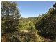 Killabakh NSW 2429