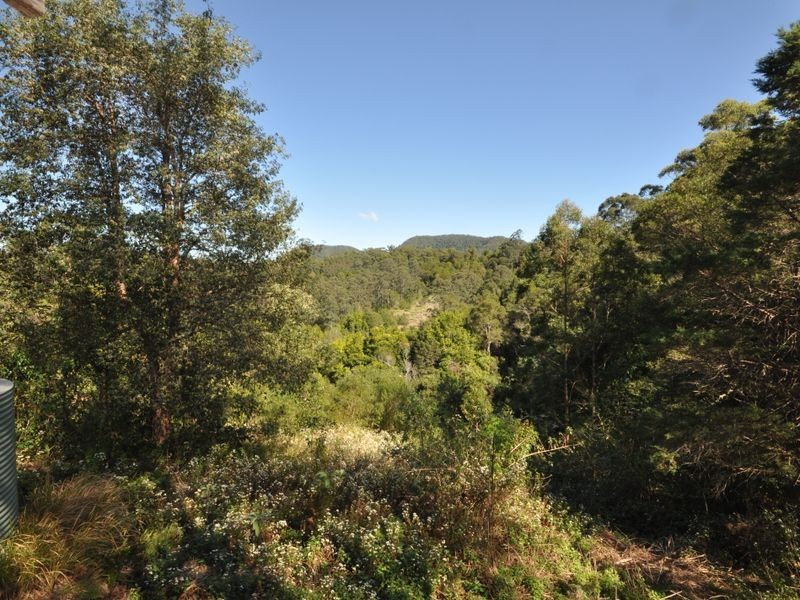 Killabakh NSW 2429