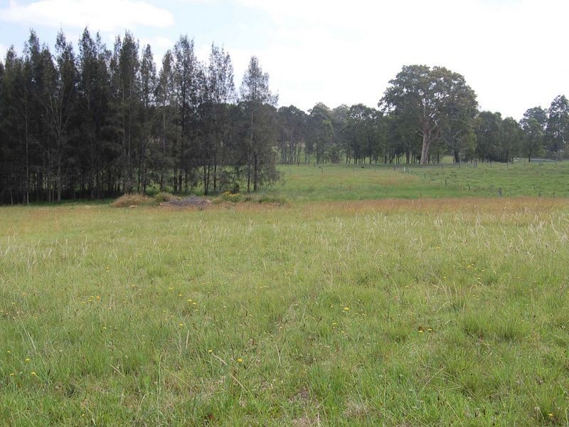 61 Marchfield Road, Wingham NSW 2429