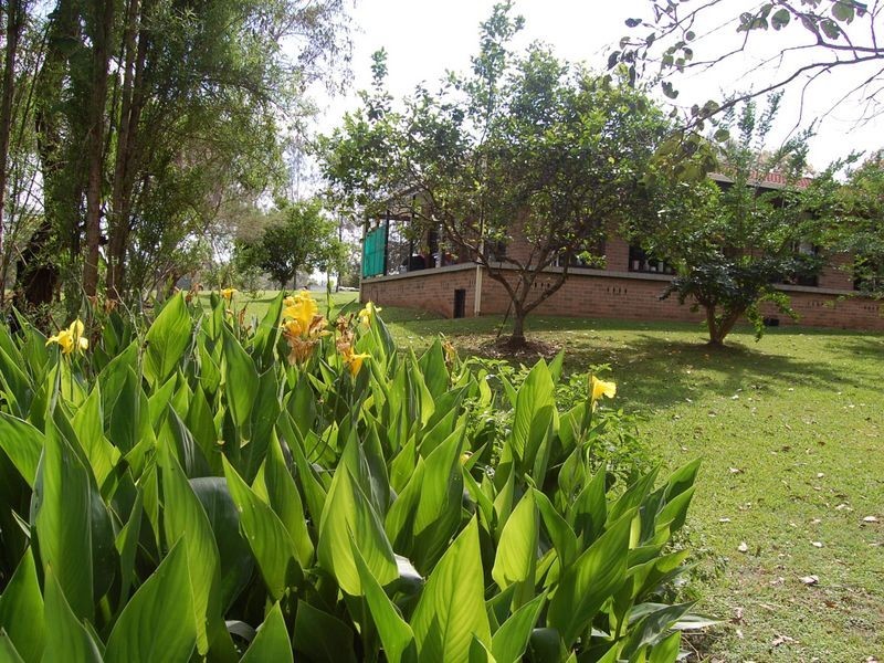 61 Marchfield Road, Wingham NSW 2429