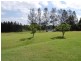 61 Marchfield Road, Wingham NSW 2429