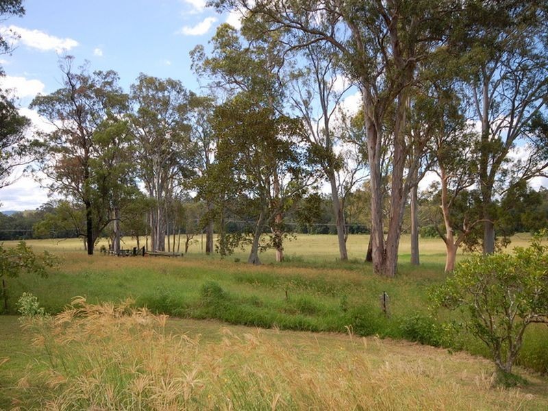 Burrell Creek NSW 2429
