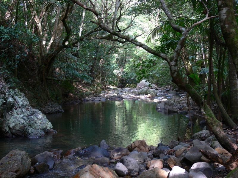 Upper Lansdowne NSW 2430