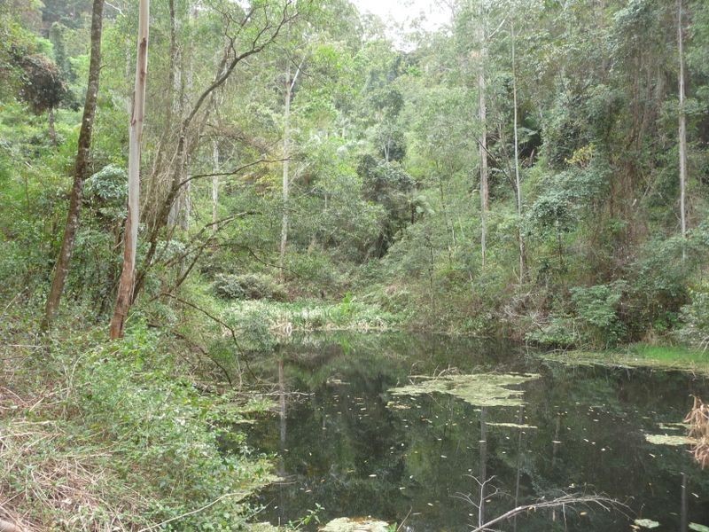 Upper Lansdowne NSW 2430