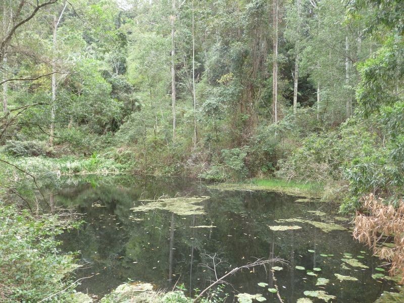 Upper Lansdowne NSW 2430