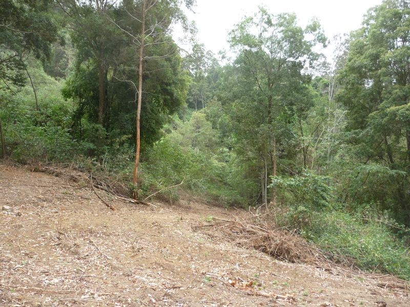 Upper Lansdowne NSW 2430