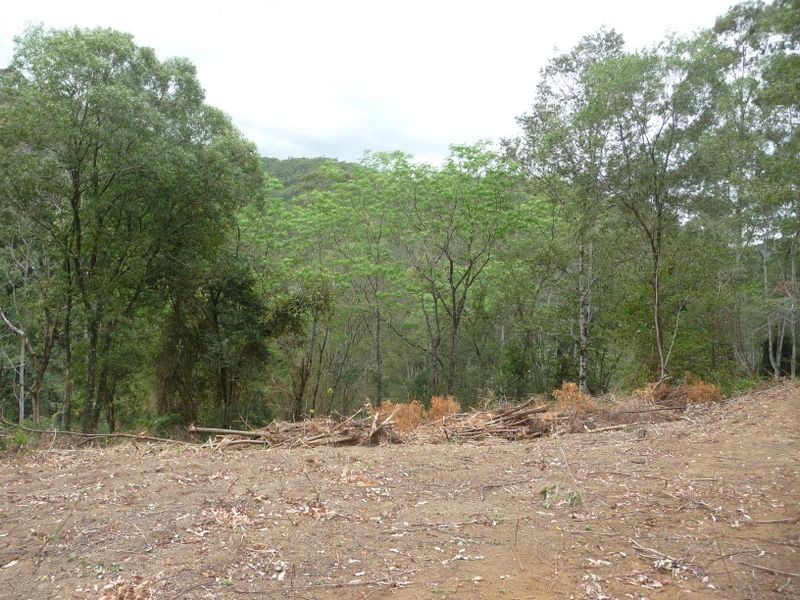 Upper Lansdowne NSW 2430