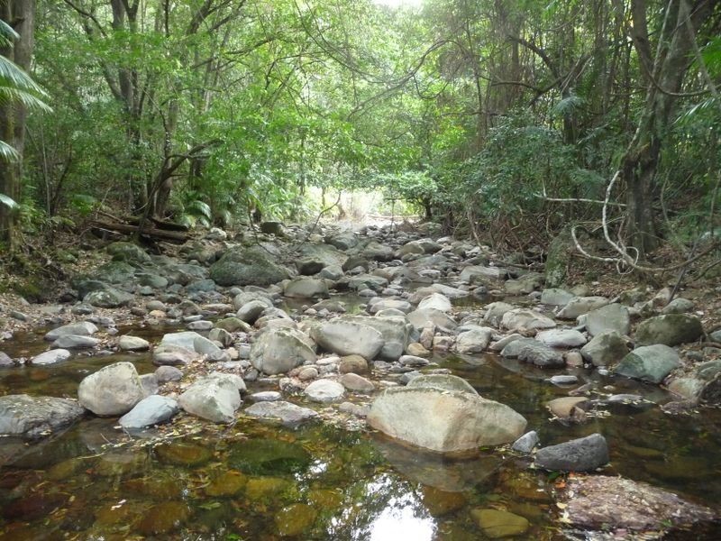 Upper Lansdowne NSW 2430