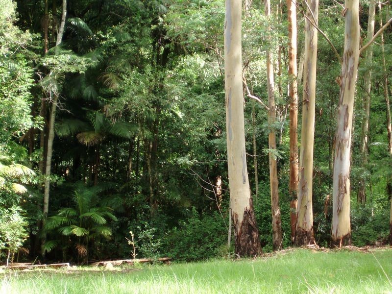 Upper Lansdowne NSW 2430