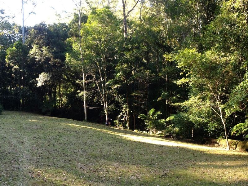 Upper Lansdowne NSW 2430