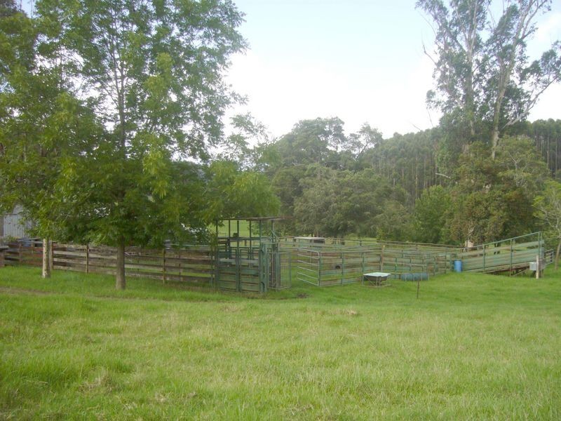 Strathcedar NSW 2429