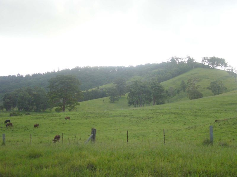 Strathcedar NSW 2429