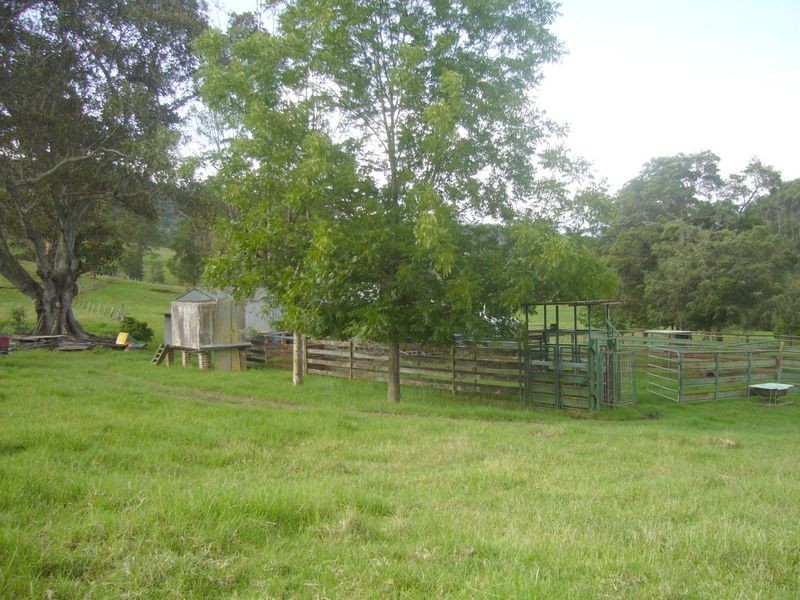 Strathcedar NSW 2429