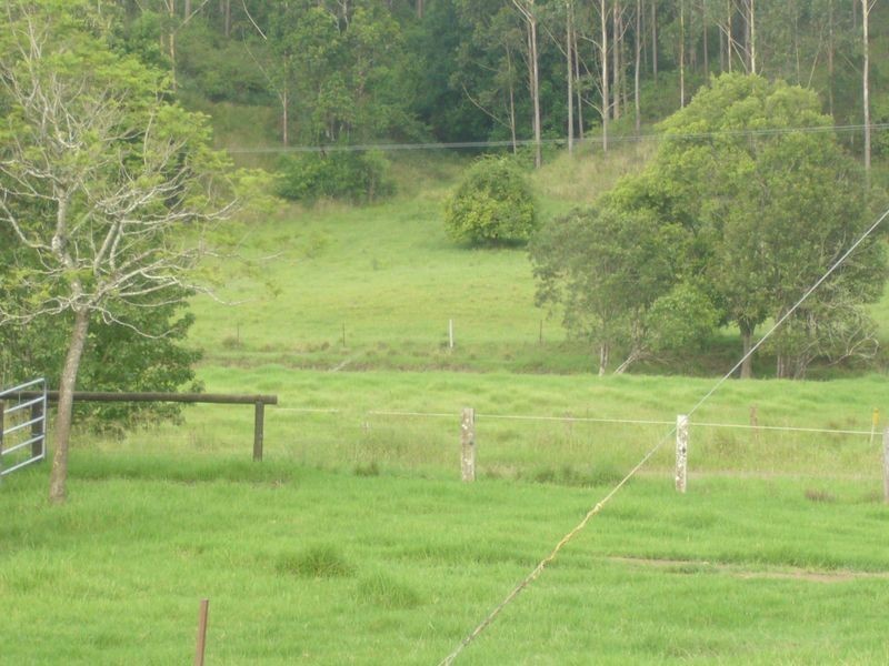 Strathcedar NSW 2429