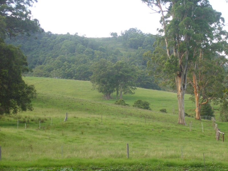 Strathcedar NSW 2429