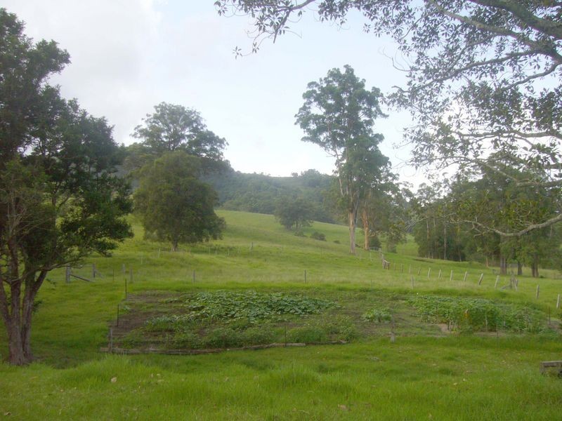 Strathcedar NSW 2429