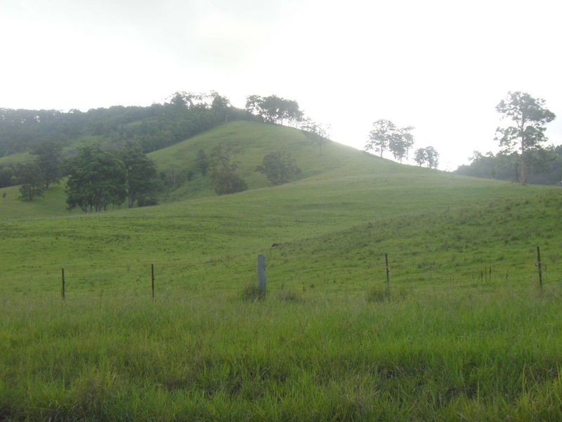 Strathcedar NSW 2429