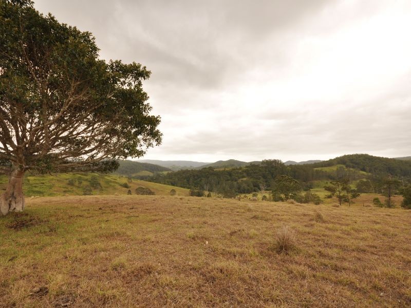 Wherrol Flat NSW 2429