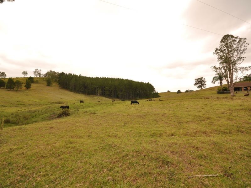 Wherrol Flat NSW 2429