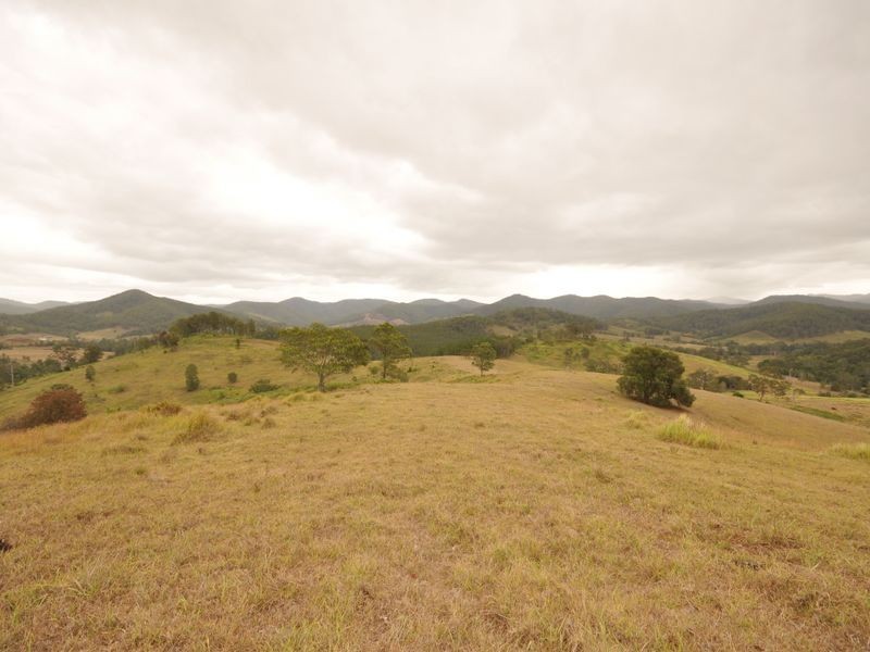 Wherrol Flat NSW 2429