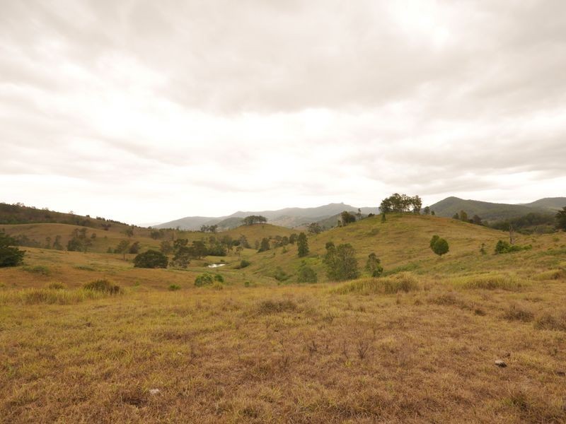 Wherrol Flat NSW 2429