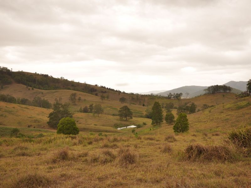 Wherrol Flat NSW 2429