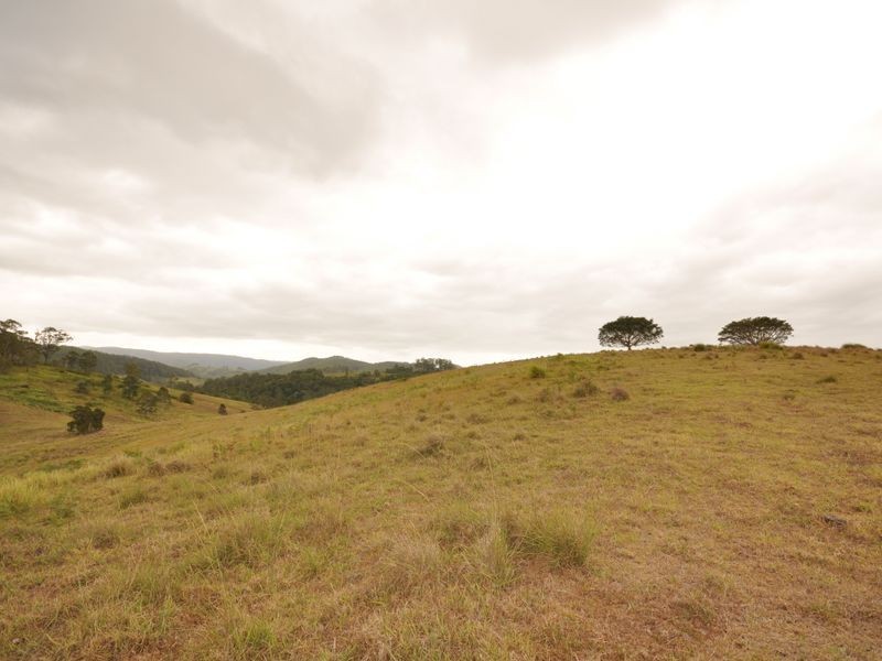 Wherrol Flat NSW 2429