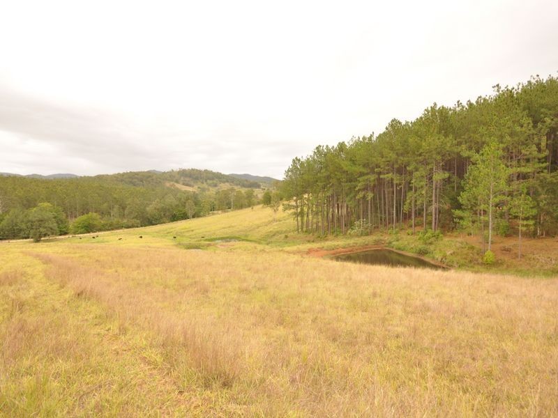 Wherrol Flat NSW 2429