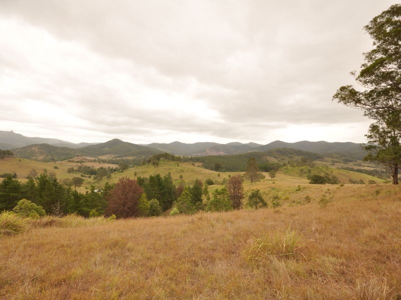 Wherrol Flat NSW 2429