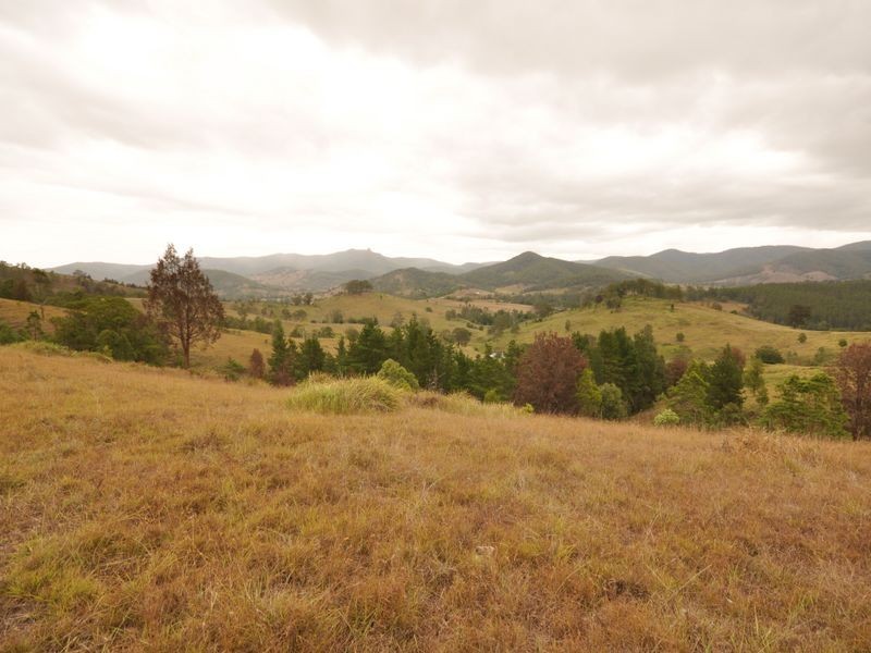 Wherrol Flat NSW 2429