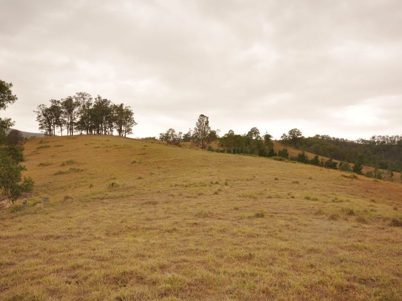 Wherrol Flat NSW 2429