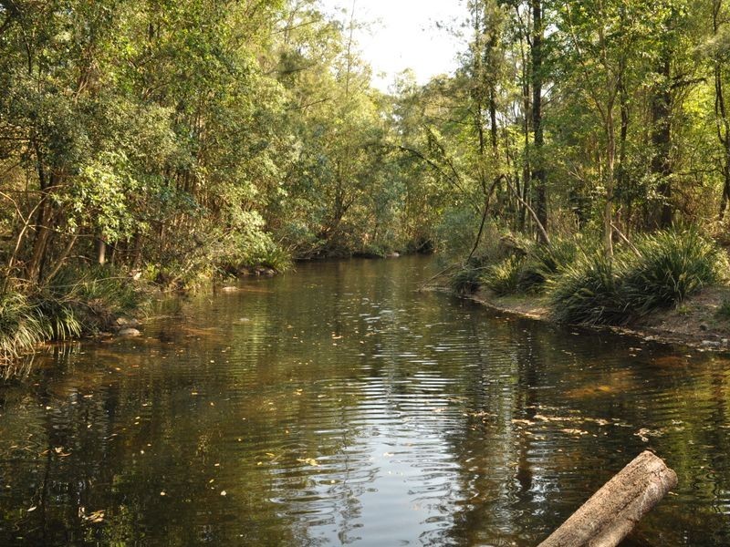 278 Bobin Creek Road, Wingham NSW 2429