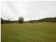278 Bobin Creek Road, Wingham NSW 2429