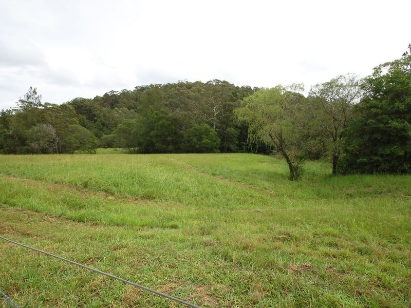 278 Bobin Creek Road, Wingham NSW 2429